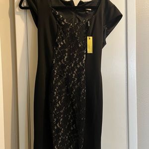 Alexa Admor Dress with lace panel. NWT